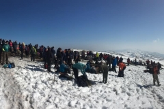 155324070_10157658571626441_3665521362630673240_n