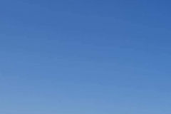 155389078_10157658571586441_6541352188679012128_n