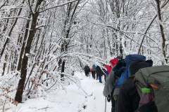 138149454_10157534198416441_8818039533413655681_n