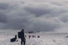 138940155_10157534197886441_272817542880457901_n