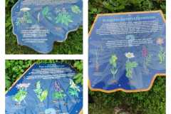 365712113_833842348466033_800532546097348381_n