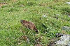 365751339_833842298466038_6405950011768747666_n