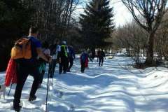 148449497_10157613973576441_4934316021255061773_n