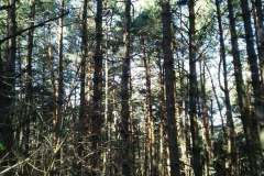 148620482_10157613973586441_5229441634681212990_n