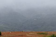 557068880_1427973102386285_3152247180855340553_n