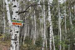 557084986_1427973802386215_5304174387731284789_n