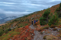 557614084_1427972335719695_3200250627301333955_n