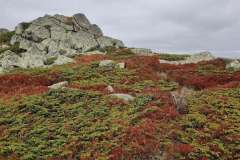 557614084_1427973019052960_1674668802681080035_n