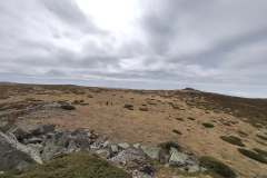 557636604_1427972972386298_5548331968018923147_n