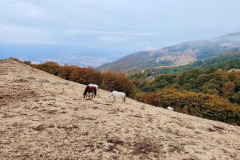 557984976_1427972712386324_8237895477046670162_n