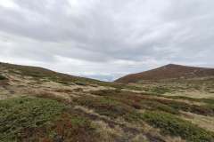 558463398_1427972049053057_7793900797198751673_n