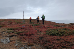 558836036_1427972609053001_8476690733587857031_n