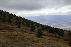 558989960_1427973359052926_4459911486143402116_n