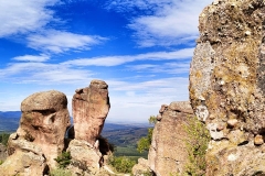 309168224_591729462677324_763410465525629047_n