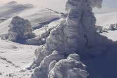 270098892_10158267191306441_8151564923729757801_n