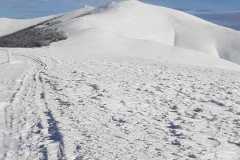 270115068_10158267190811441_57514487831350806_n