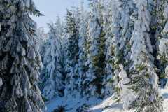 270164092_10158267190341441_6079303115026113283_n