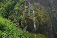 442384638_1018248620025404_6040393154867422617_n