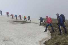 442412191_1018247860025480_4957777629419515020_n