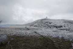 278762306_10158439506871441_2765291132770693527_n