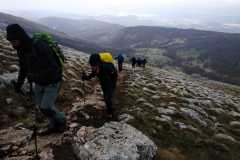 278844808_10158439506671441_4749055502907801017_n