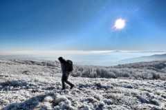 417412542_943923204124613_2000038221242602747_n