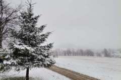 175056384_10157772265696441_855427531085926820_n