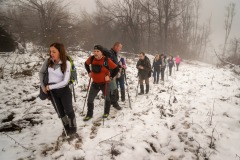 322704677_1133251827323829_5536617900773606718_n