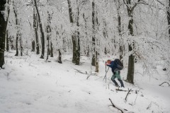 323293904_559866819349726_3239730925549391085_n