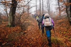 323920918_3281728995422095_5418072917870543302_n