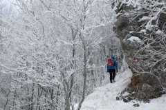 419858512_938300921353508_791160710024095811_n