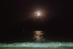 376874866_867041858479415_2975196660287316374_n