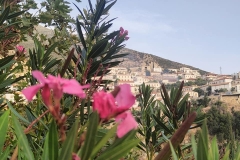 378377770_867041815146086_5646765638249274210_n