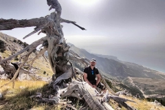 378386530_867041498479451_2549062866773192678_n