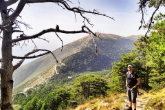 378389622_867041728479428_126168569596538901_n