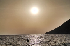 382967512_867041595146108_7544769711231180_n