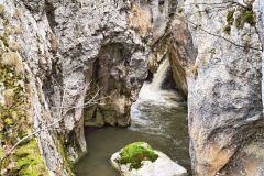 337030941_8876418762432653_5321703513286227535_n