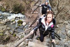 337048768_748458310210933_8613581670922621779_n