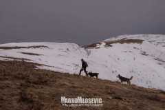 417529377_964455942071339_578374860034669344_n