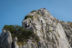 239961299_10158048490696441_8372974421513185080_n