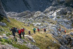 239985549_10158048485016441_7936570659463702314_n