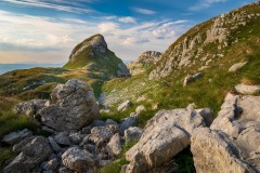 240098863_10158048484061441_1749341460913352701_n