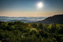 240601882_10158048488811441_5968604702900523813_n