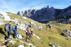 306794887_583240900192847_2851162439238032094_n