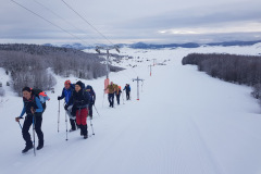 IMG-37ed04f419d5a8aa123468f772febc45-V