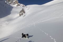 IMG-d18d54d847745eca4d83280a55ddda05-V