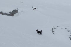 IMG-f2b3844d8823c5cd7bac56a98746ef65-V