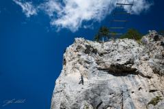 194366387_10157870684196441_4455327456568397982_n