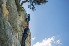 194592229_10157870683251441_6592632173144544404_n