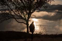 256776120_10158200801296441_4751670933556165328_n